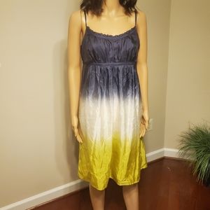 Ann Taylor  Loft Silk dress with cotton Lining